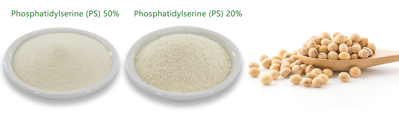 Phosphatidylserine PS powder Phosphatidylserine PS powder